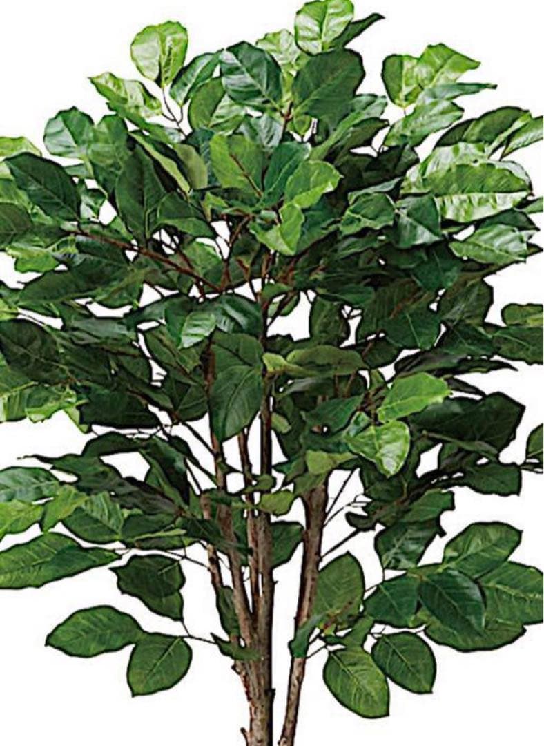 光触媒　人工観葉植物　ウォールグリーン　フェイクグリーン　ジャイアントツリー