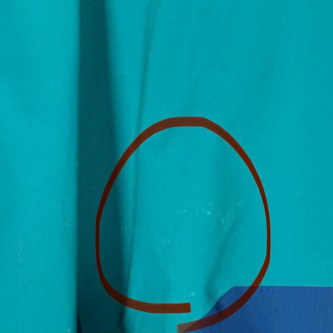 希少カラー arc'teryx RUSH Jacket gore-tex