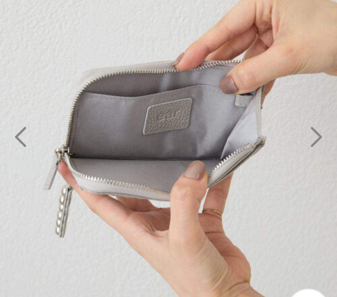 ear PAPILLONNER スタッズフラグメントケース シルバー