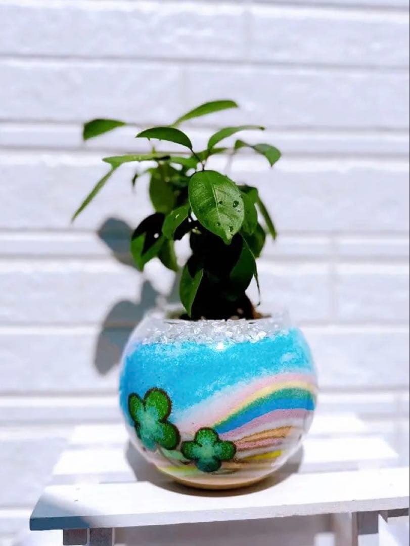 オーダー専用ページ