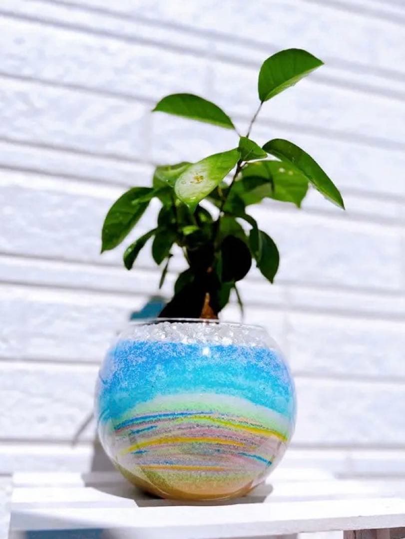 オーダー専用ページ