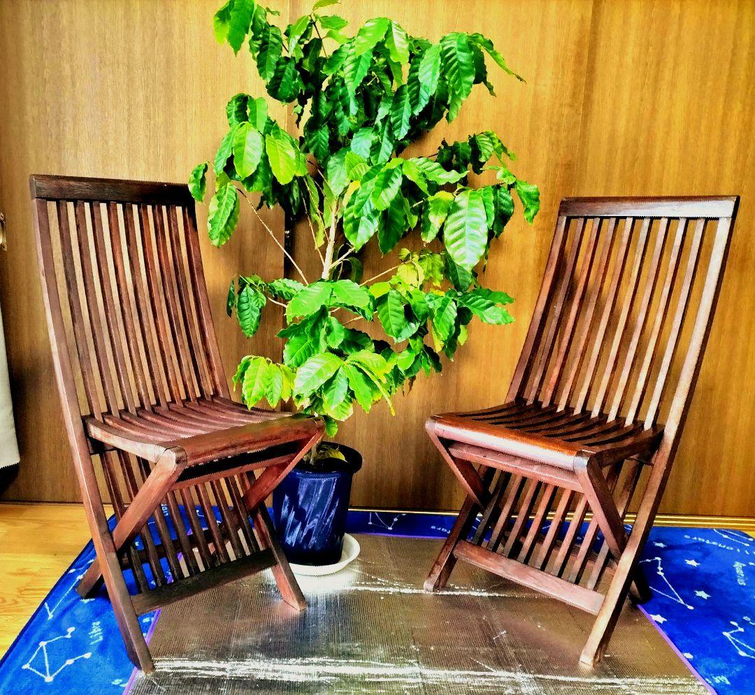 木製折りたたみ椅子 　ガーデンチェア 2脚セット　おまけ付き