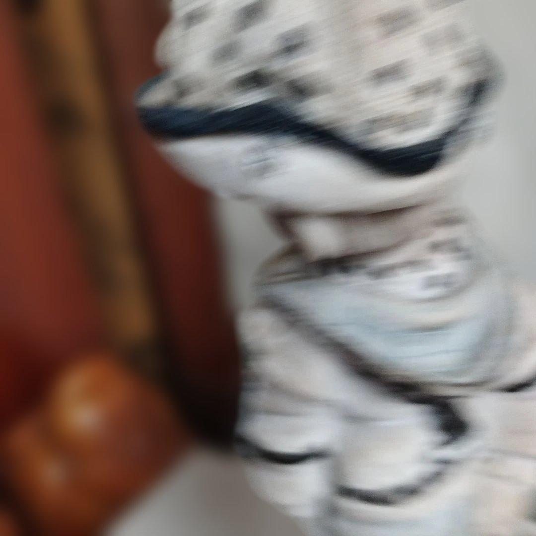 犬お散歩する少年。