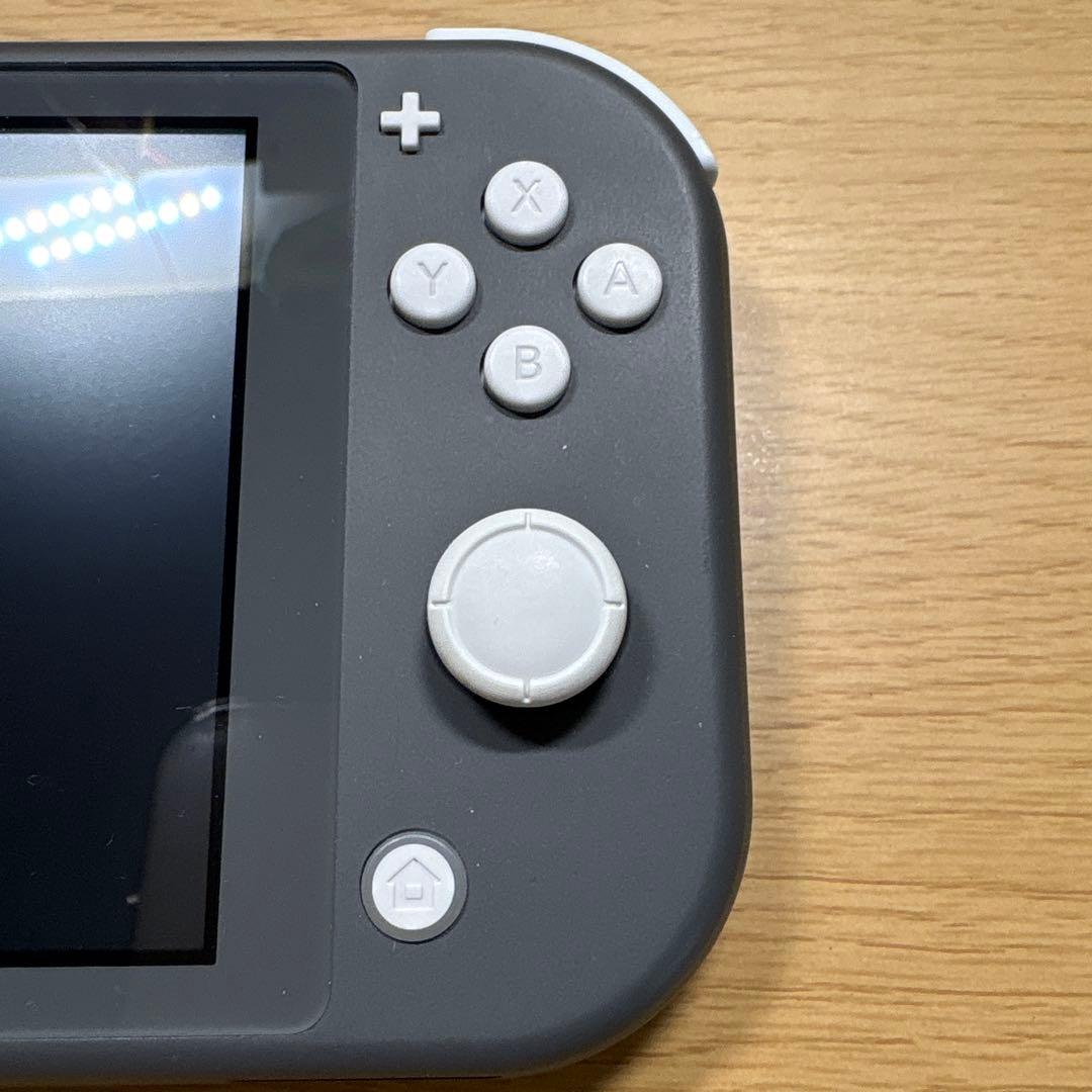 任天堂Switch light グレー　持ち運びケース付き