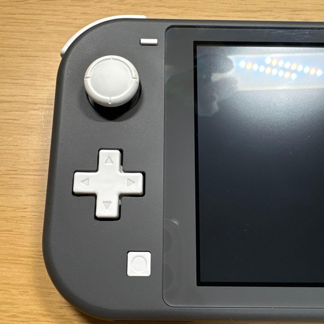 任天堂Switch light グレー　持ち運びケース付き