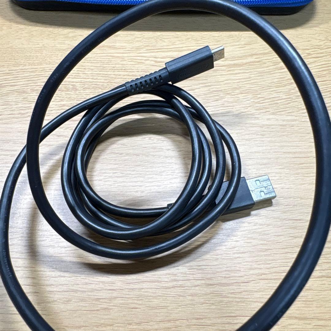 任天堂Switch light グレー　持ち運びケース付き