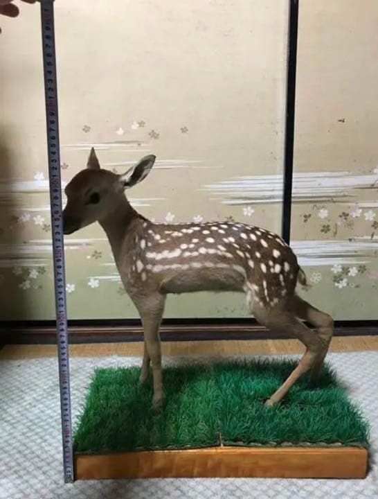 子鹿の置物