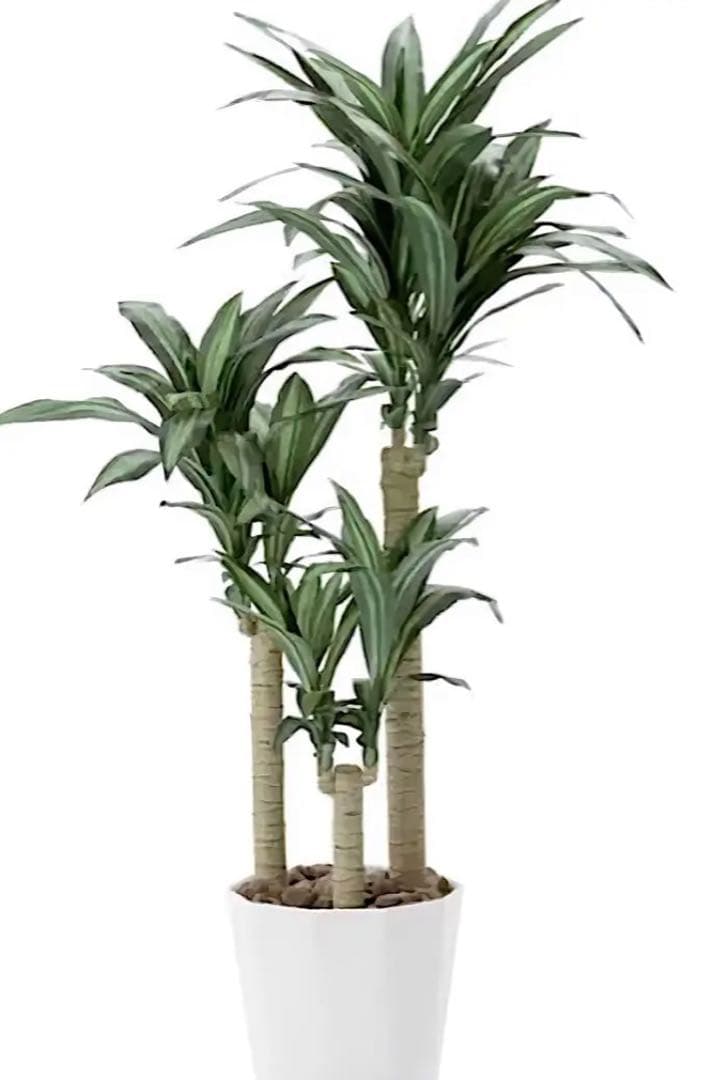 光触媒　人工観葉植物　フェイクグリーン　ドラセナ　幸福の木マッサン160