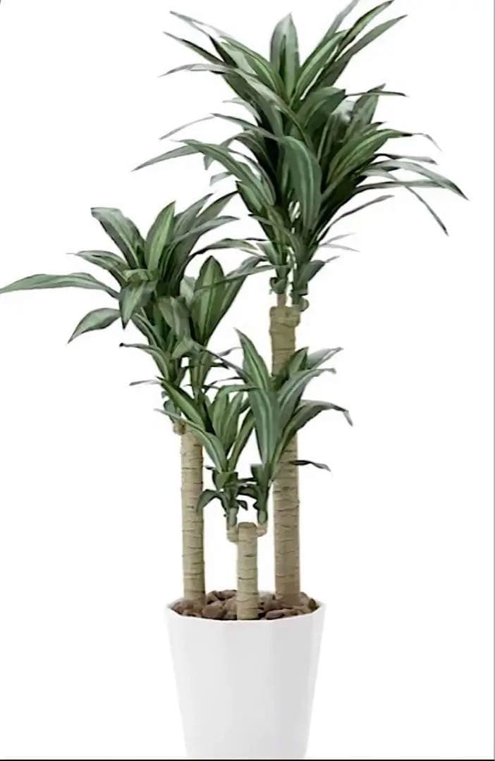 光触媒　人工観葉植物　フェイクグリーン　ドラセナ　幸福の木マッサン160