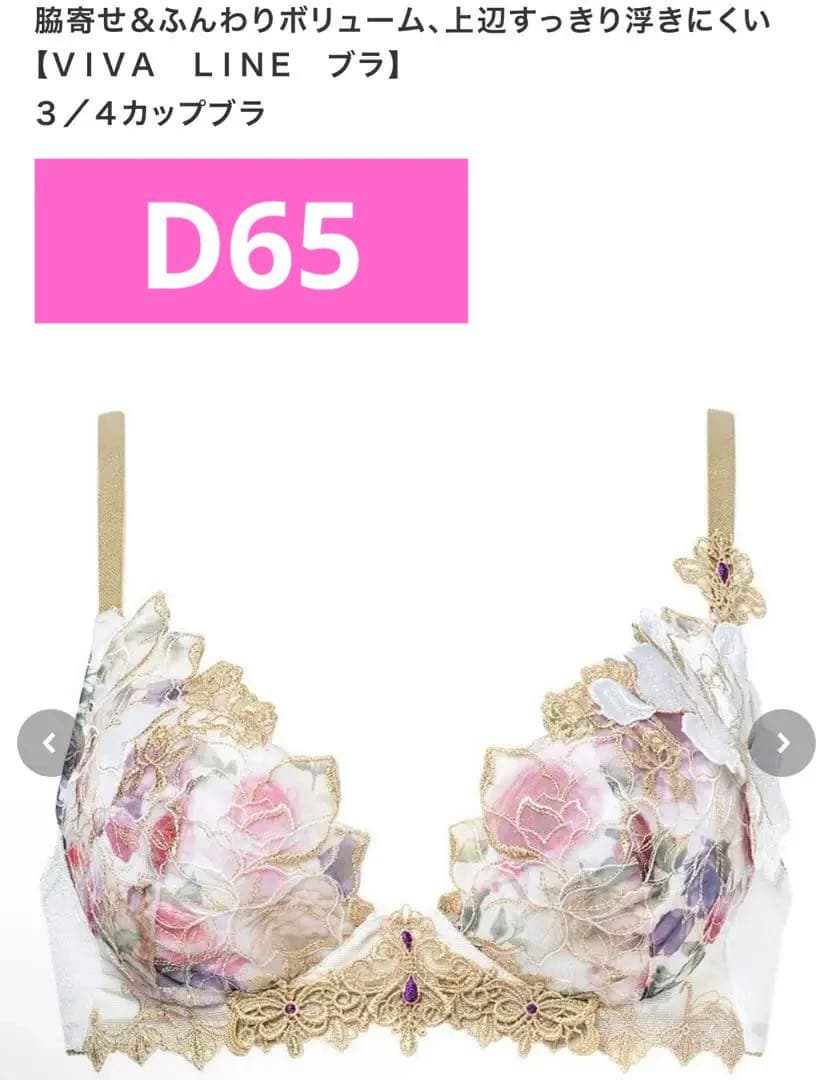 新品未使用　サルート D65 VIVA LINE