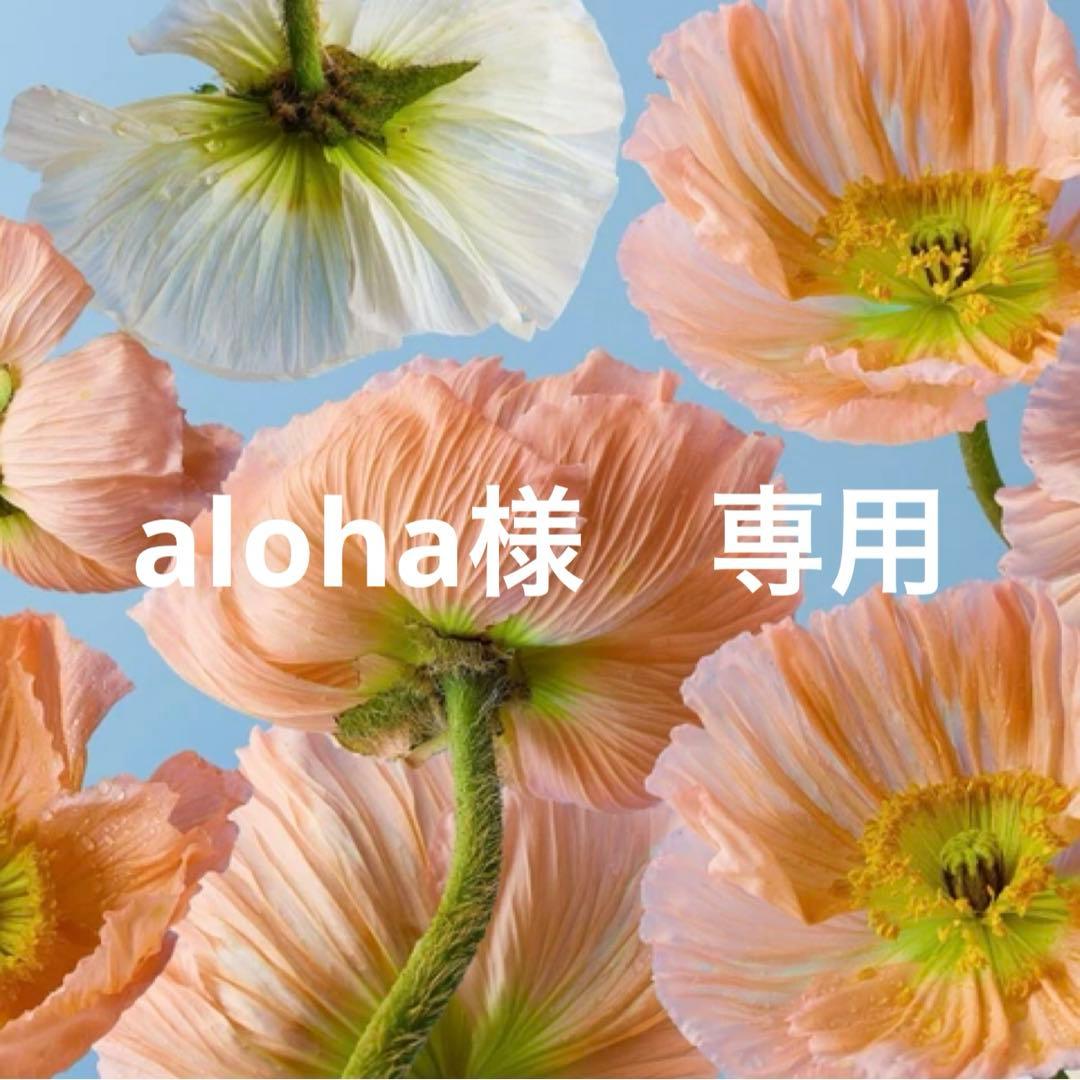 aloha　ブラウン　サロペット