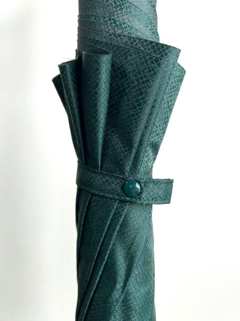 LOUIS VUITTON タイガ 傘 〈Taiga〉Umbrella