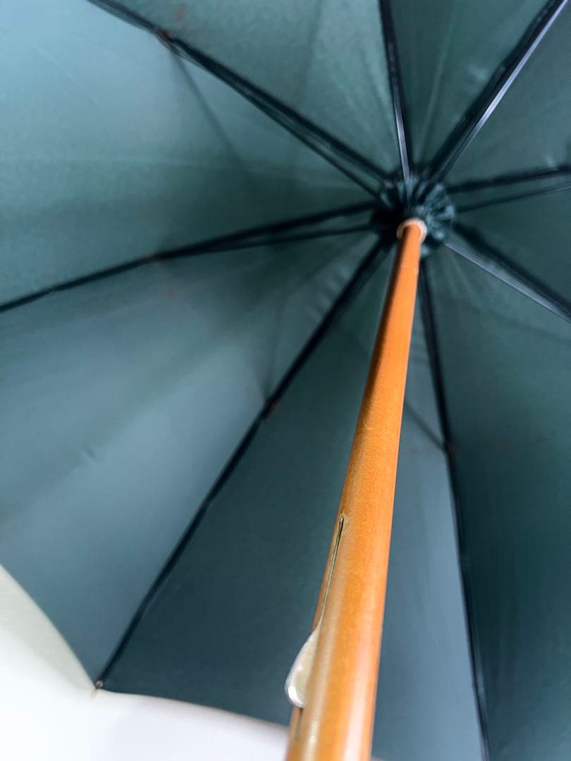 LOUIS VUITTON タイガ 傘 〈Taiga〉Umbrella