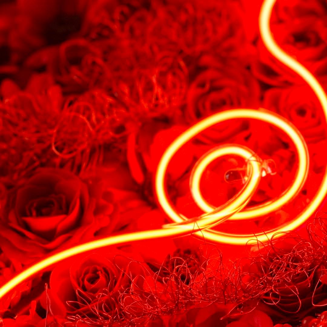 ネオンインテリア 店舗インテリア　フラワー　照明　ネオンサイン