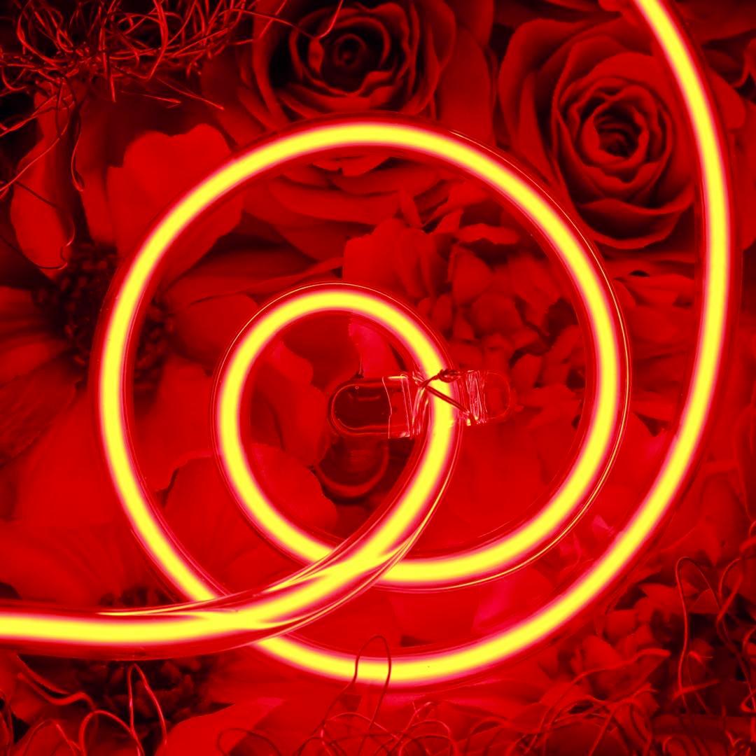 ネオンインテリア 店舗インテリア　フラワー　照明　ネオンサイン