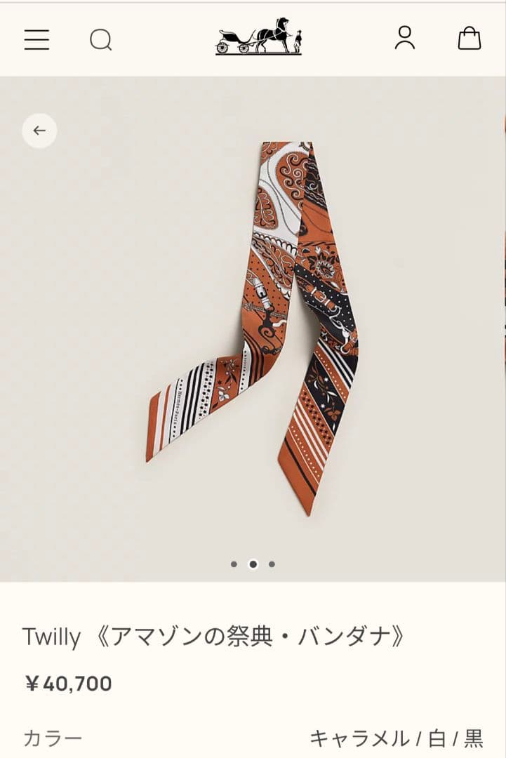 最終価格！新品【HERMES】 エルメス 2025春夏ツイリー アマゾンの祭典