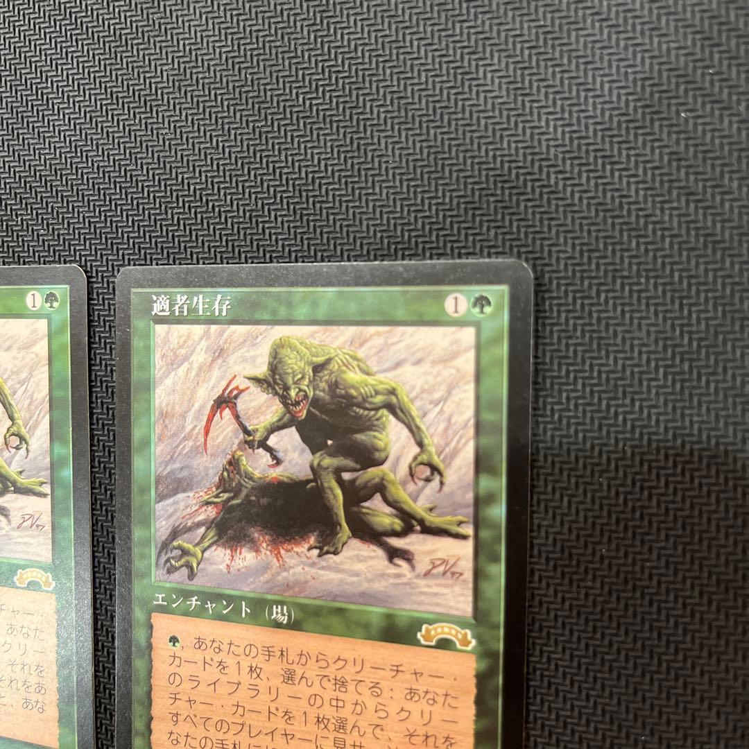 mtg 適者生存 2枚セット