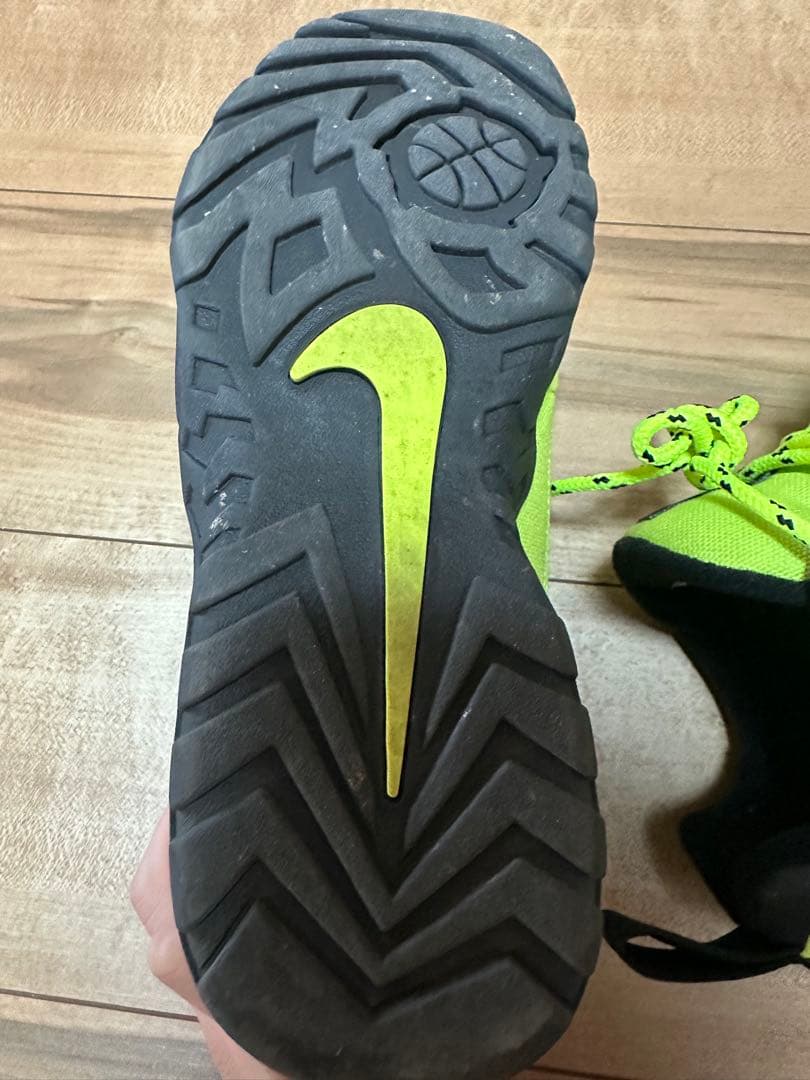 Supreme x Nike SB darwin green ダーウィン
