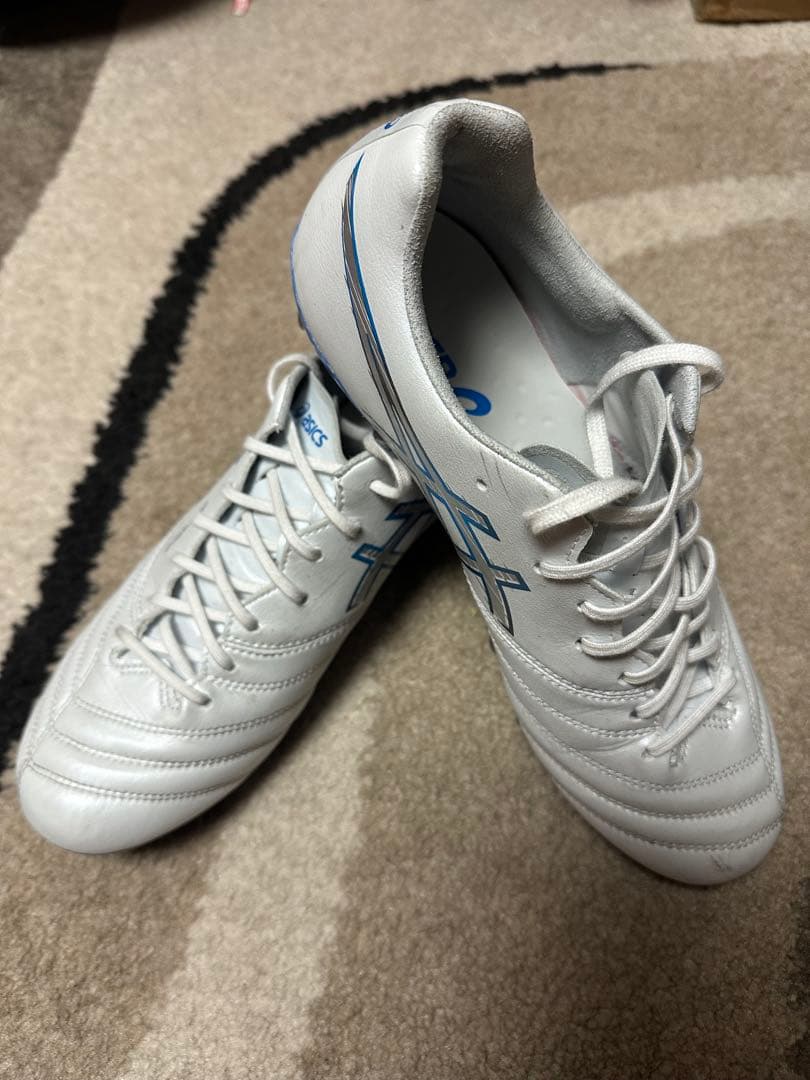 シューズ DS LIGHT X-FLY PRO 3(25.5cm)