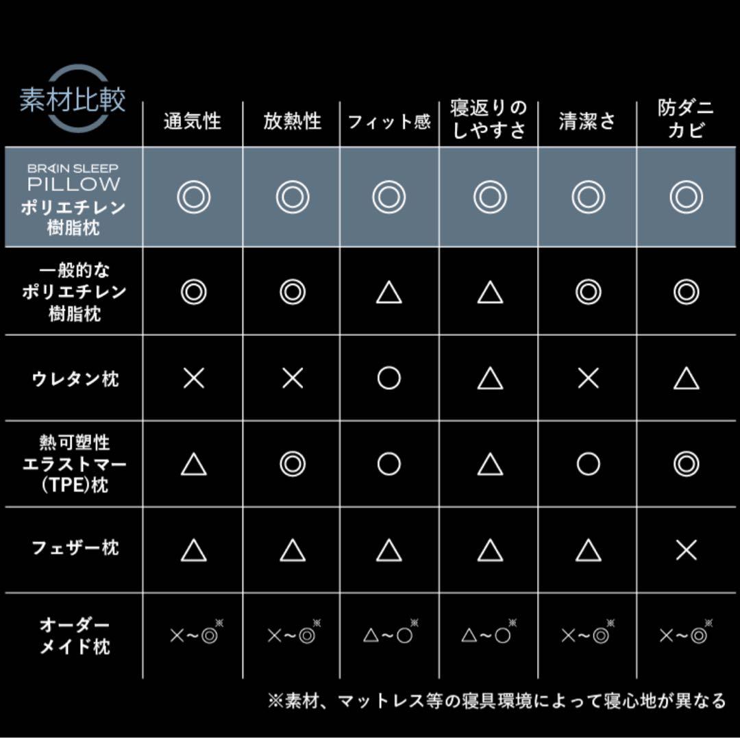 ブレインスリープピロー　スタンダード ／枕とバッグのみ