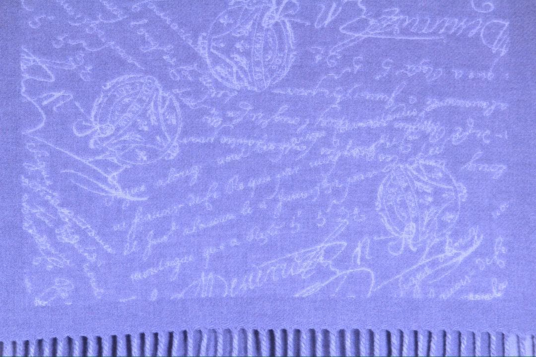 Berluti Scarf ベルルッティ スカーフ ストール カリグラフィー総柄