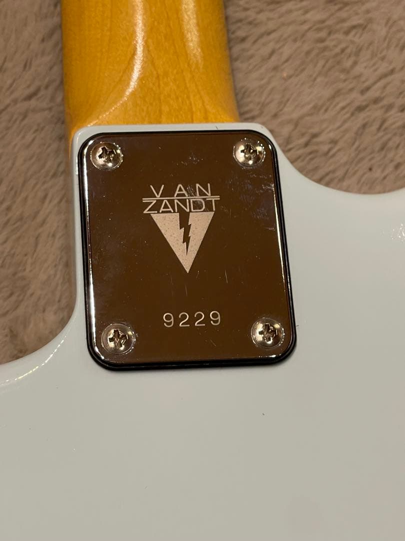 ギター Vanzandt STV-R2