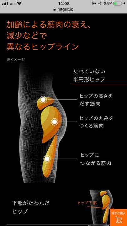 ウエイトトレーニング sixpad bottom belt