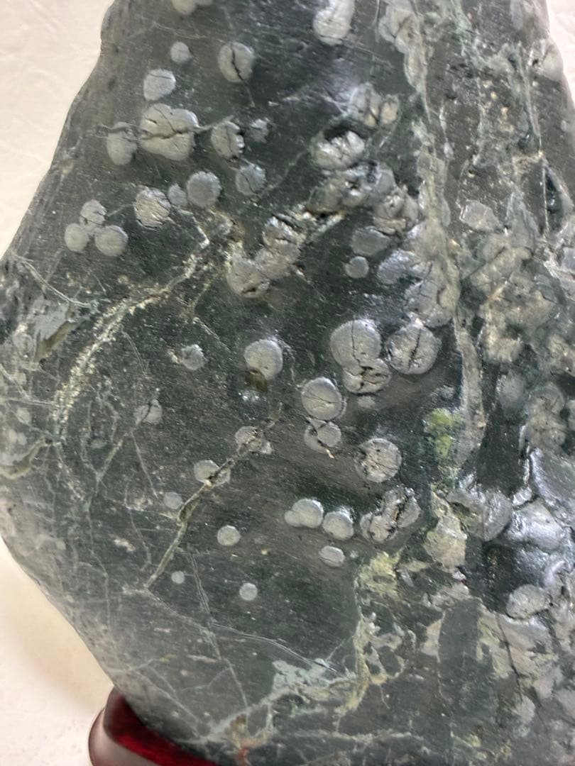 北海道梅花石AE 木製台座付き