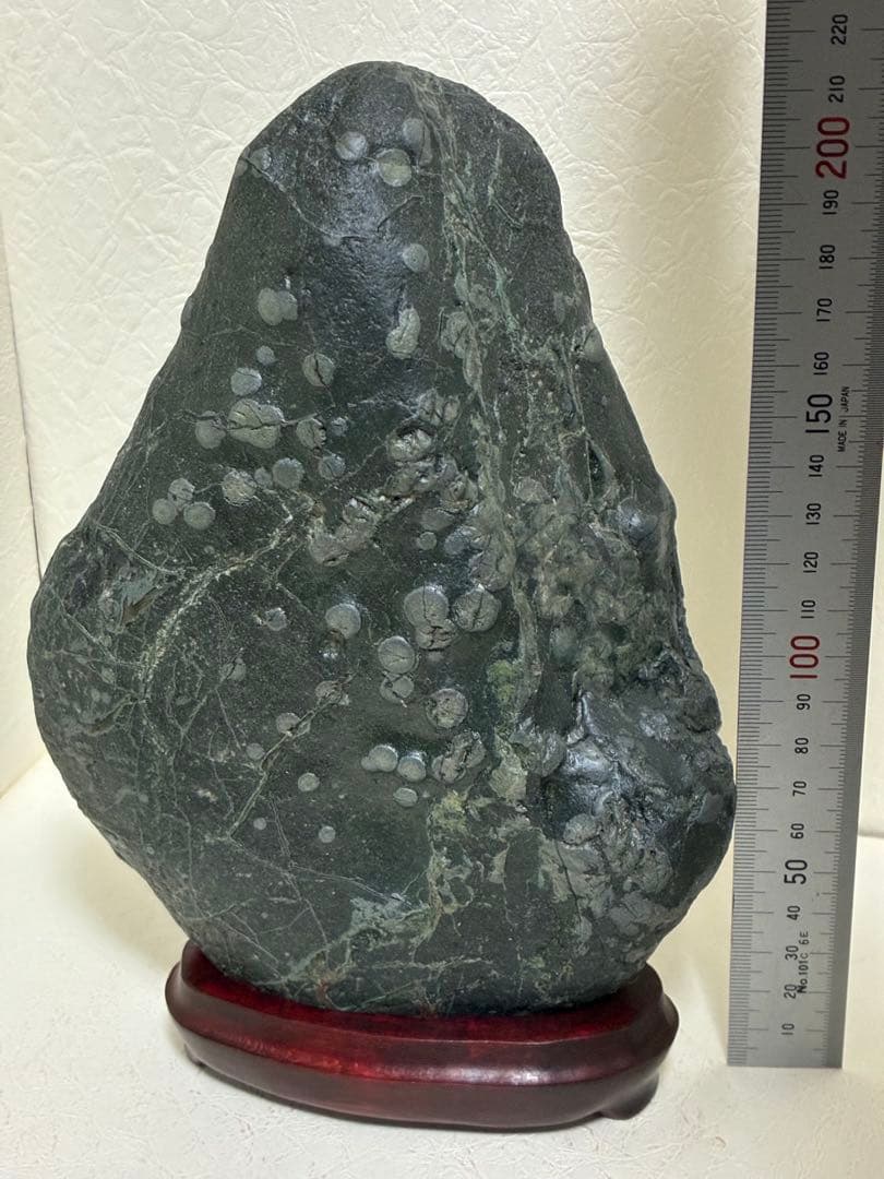 北海道梅花石AE 木製台座付き