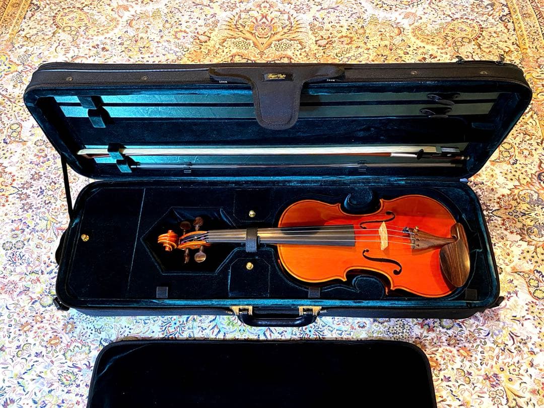 お値下げ中⭐︎ピグマリウス デリウス アドバンス 4/4