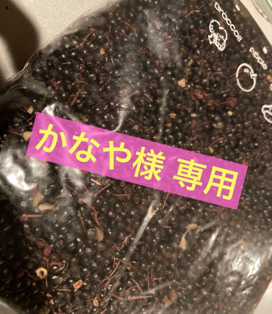 【かなや】富士北麓産　山椒のタネ　32袋＋おまけ付き