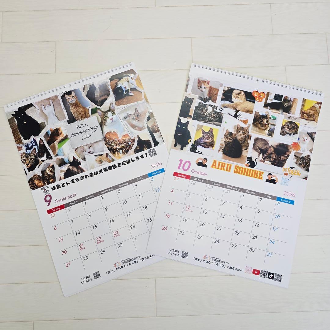 ①《猫》壁掛けチャリティーカレンダー10枚セット