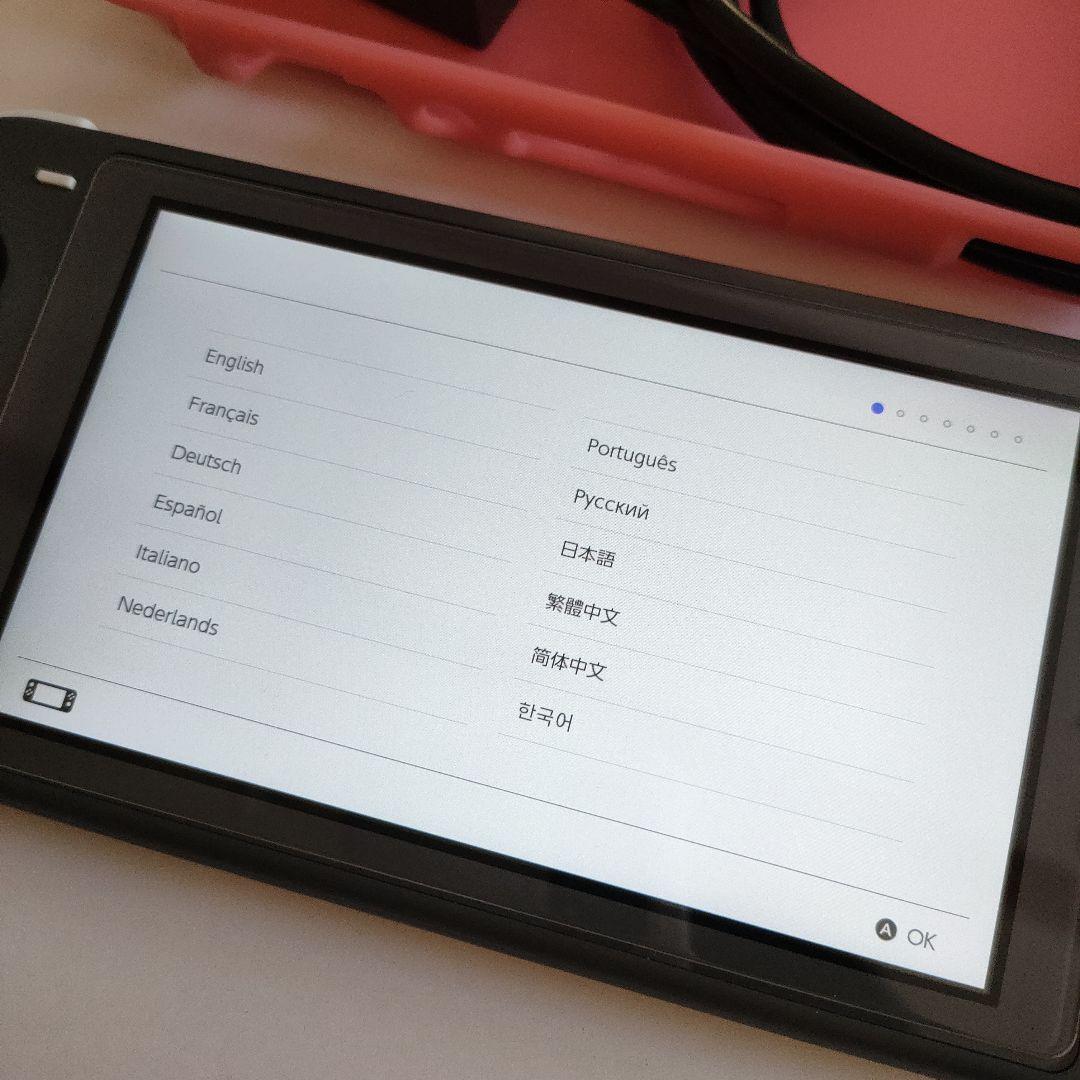 Nintendo Switch Lite本体グレー+純正ACアダプター（箱無し）