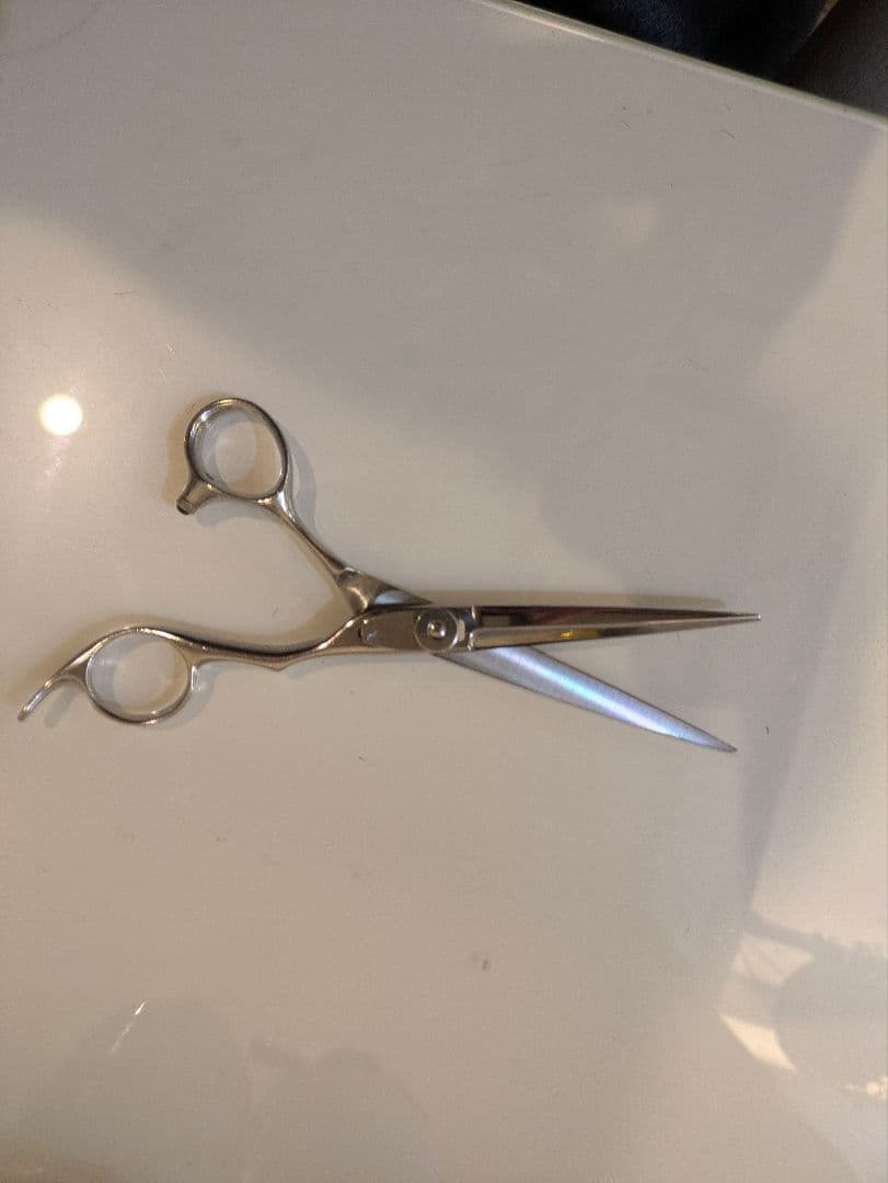 武芸6インチシザー　zca6 ベアリング内蔵　定価10万円　美容師　美容室