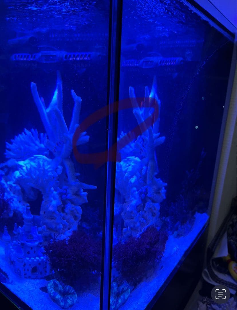 RedSea Reefer170 リーファー 美品　目黒区発送