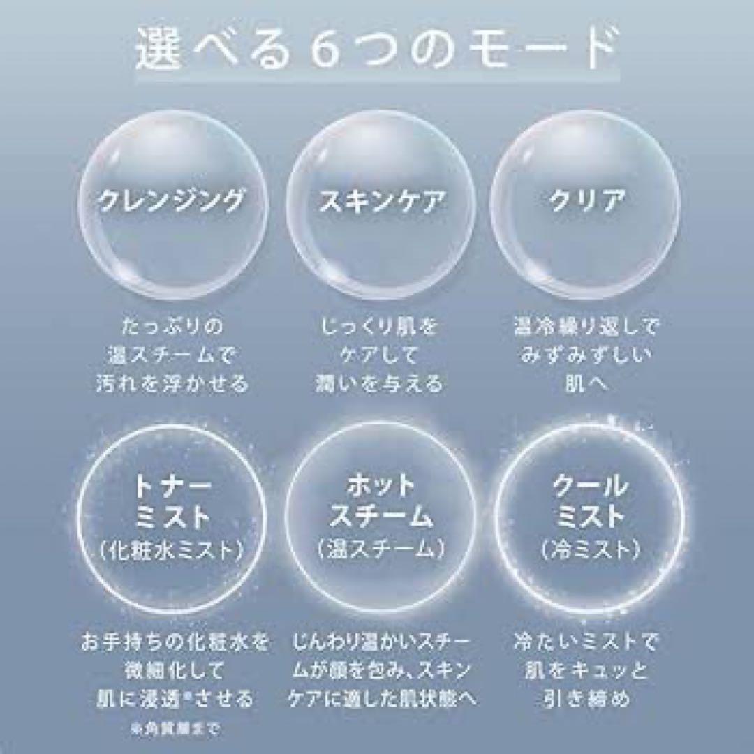 【新品未開封】SALONIA ピュア ブライト スチーマー