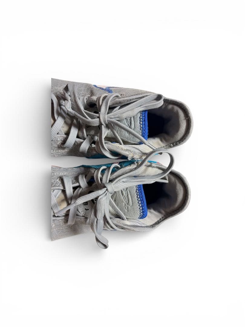 【レア】レブロンnext gen