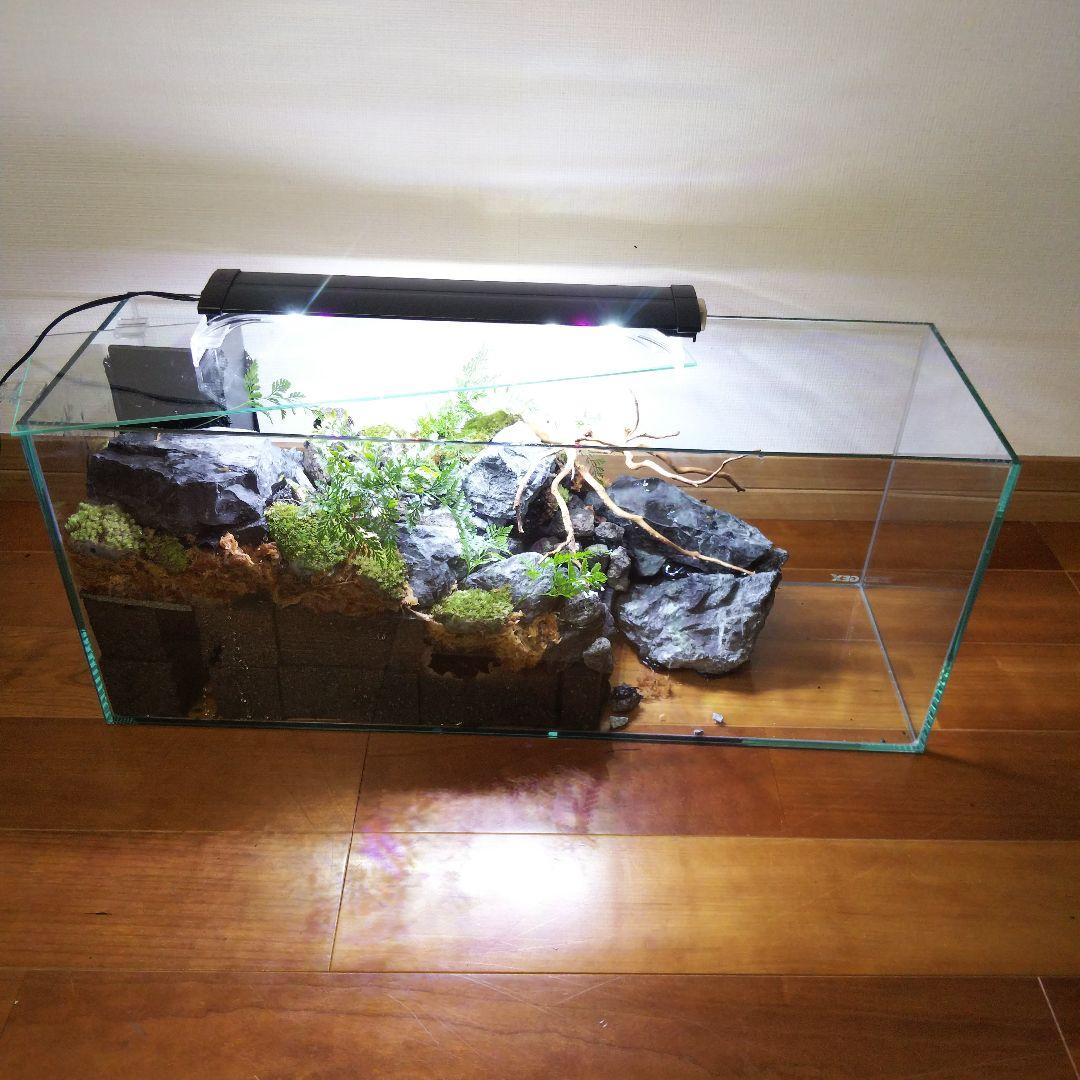 【受注生産】６0センチ水槽アクアテラリウム　イモリウム　苔テラリウム　テラリウム