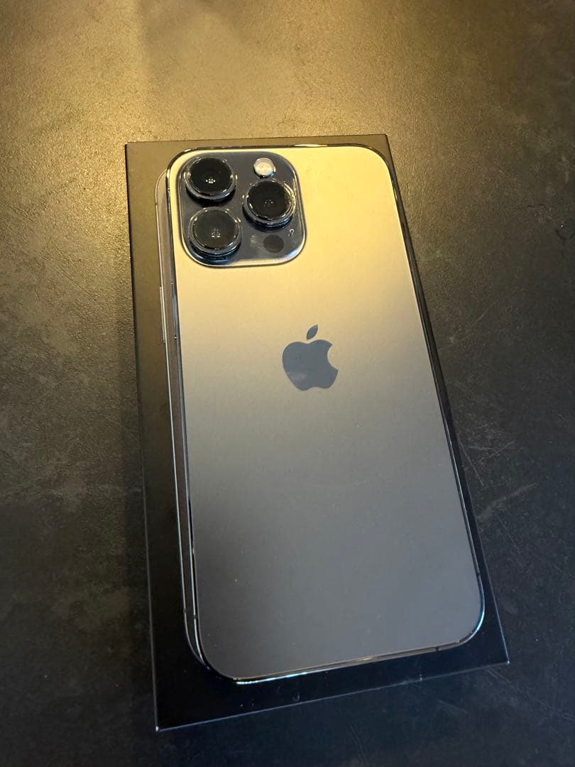 Alex様限定【美品】iPhone 13Pro グラファイト 256GB