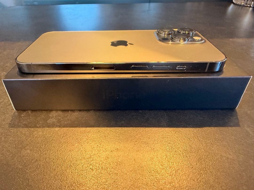 Alex様限定【美品】iPhone 13Pro グラファイト 256GB