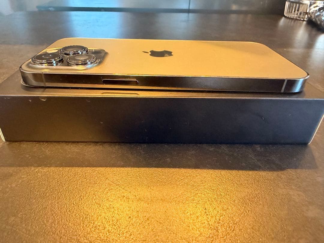 Alex様限定【美品】iPhone 13Pro グラファイト 256GB