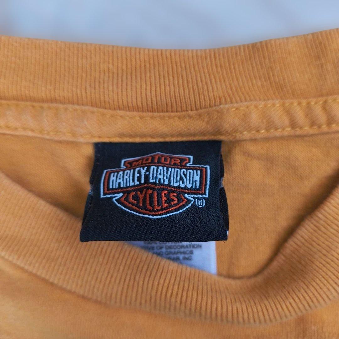 ハーレーダビッドソン　ロンT　USA　袖フレイム