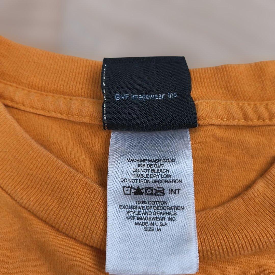 ハーレーダビッドソン　ロンT　USA　袖フレイム