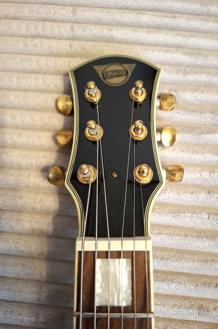 Pignose Guitar 純正ケース付き ピグノーズブロックインレイ ギター