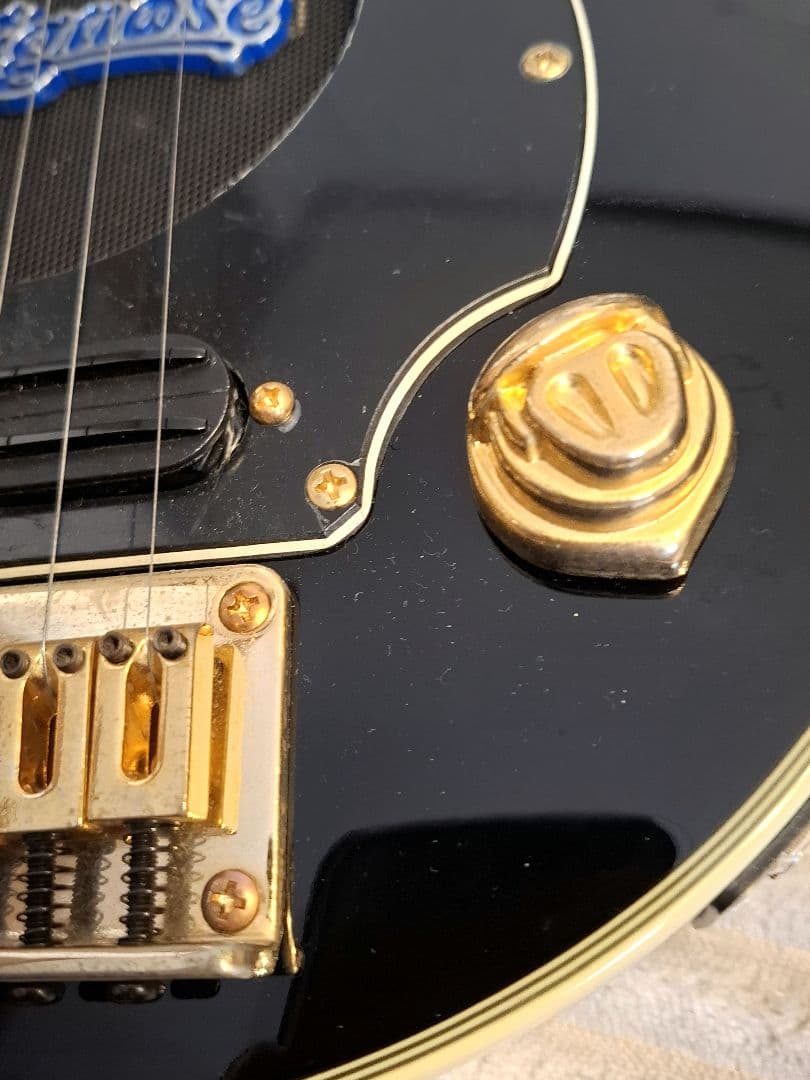 Pignose Guitar 純正ケース付き ピグノーズブロックインレイ ギター
