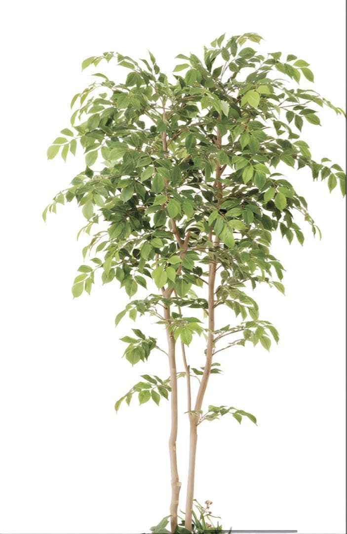 光触媒　人工観葉植物　ウォールグリーン　マウンテンアッシュ1.81.8