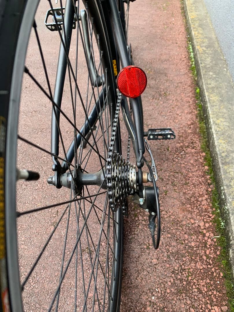 自転車本体 Tokyo Bike Sport 9s