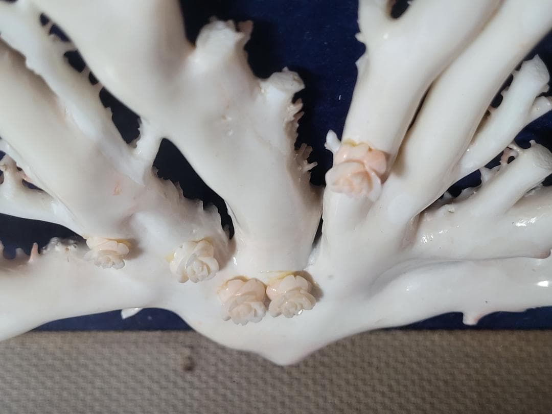 天然希少材料 彫刻 額装 壁飾 置物 横幅約55.8cm