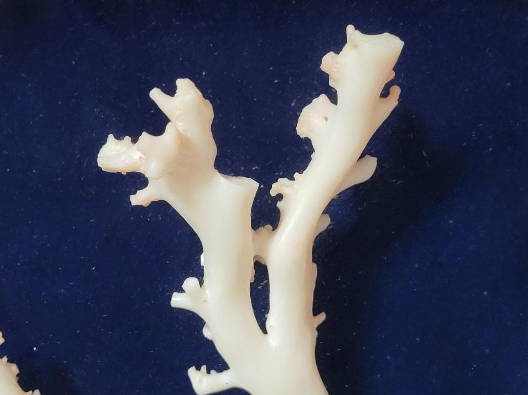 天然希少材料 彫刻 額装 壁飾 置物 横幅約55.8cm