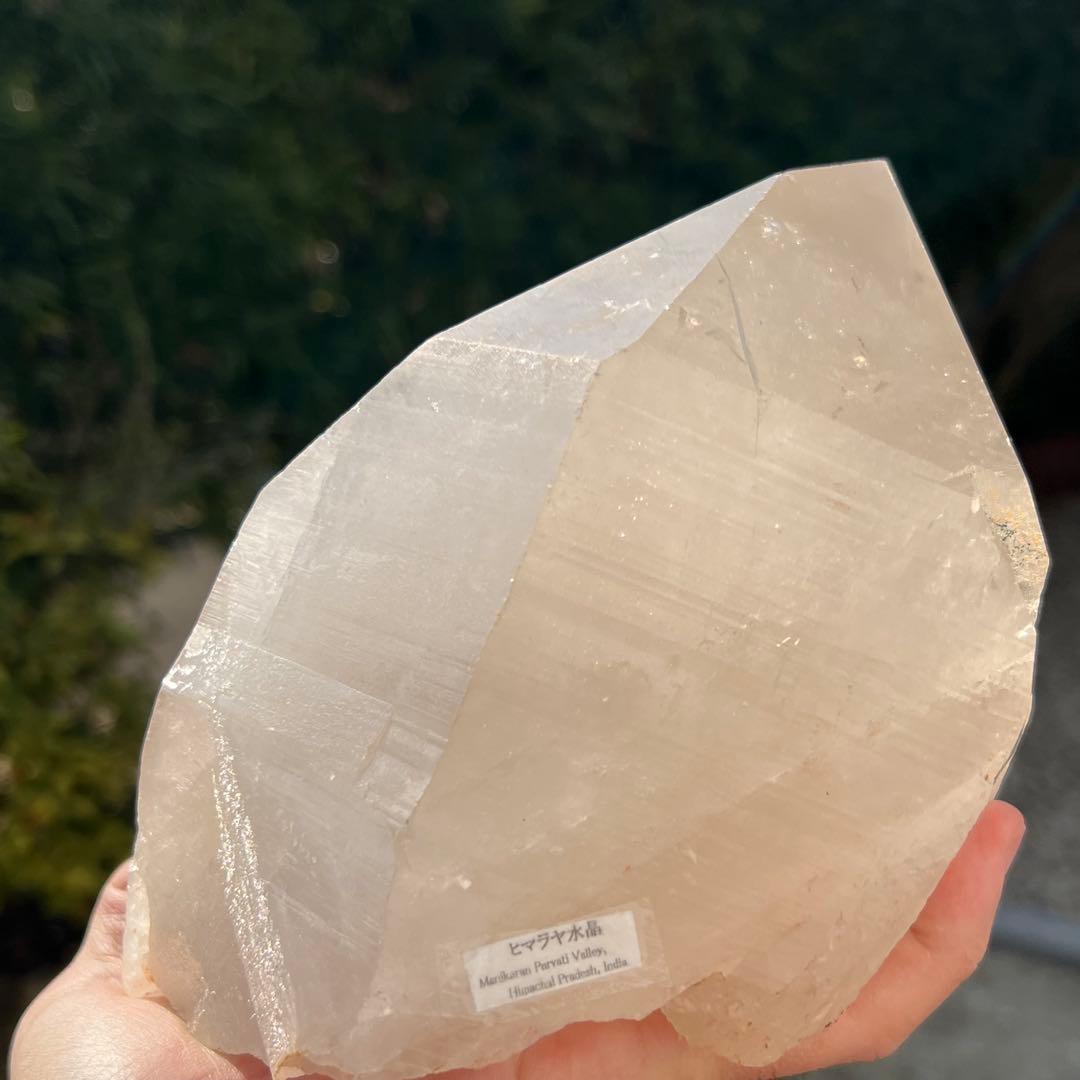 ✳️✮幻✮存在感際立つ極大水晶☆ピンクマニカラン水晶 原石 単結晶 天然石 水晶
